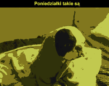 Piesek okryty ręcznikiem